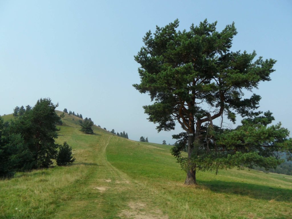 Kupelne_polske_mestecko_Szczawnica_Pieniny