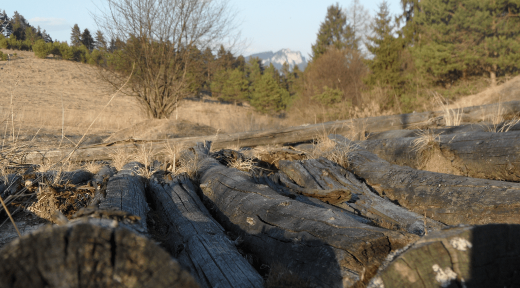 Pieniny a Zamagurie